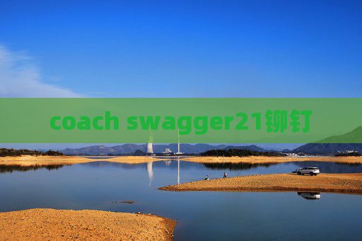 coach swagger21铆钉